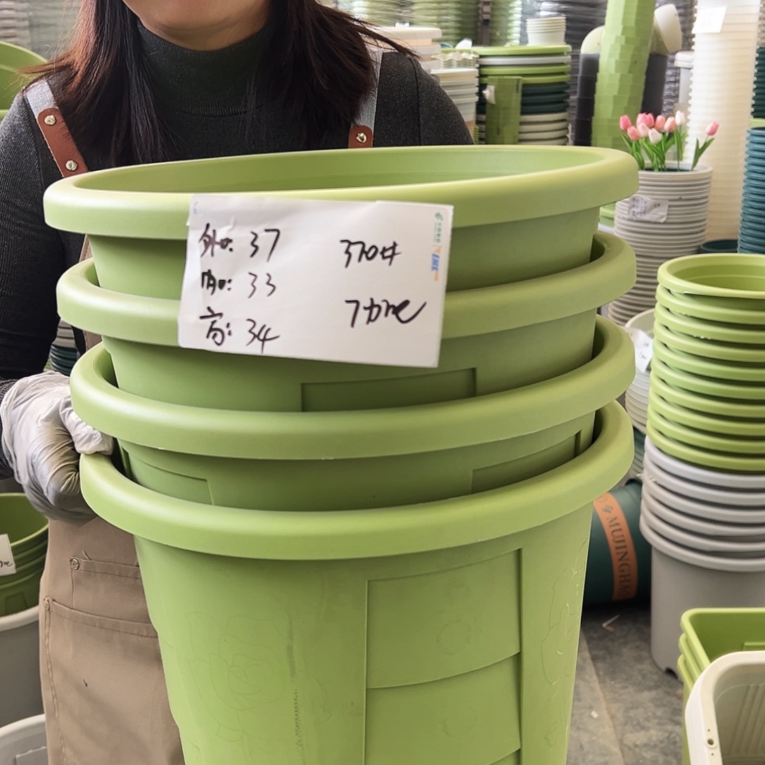 玫瑰370#果绿色4个无托