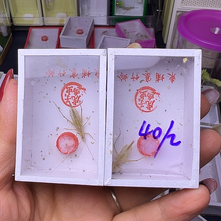 7***月哈哈哈哈哈哈哈哈哈哈哈哈哈哈哈