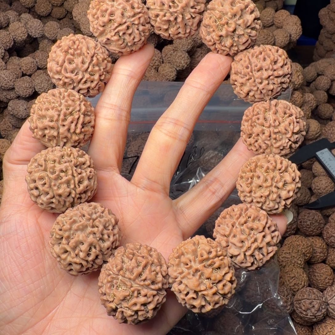 金刚菩提手串8瓣卡29尺，55号