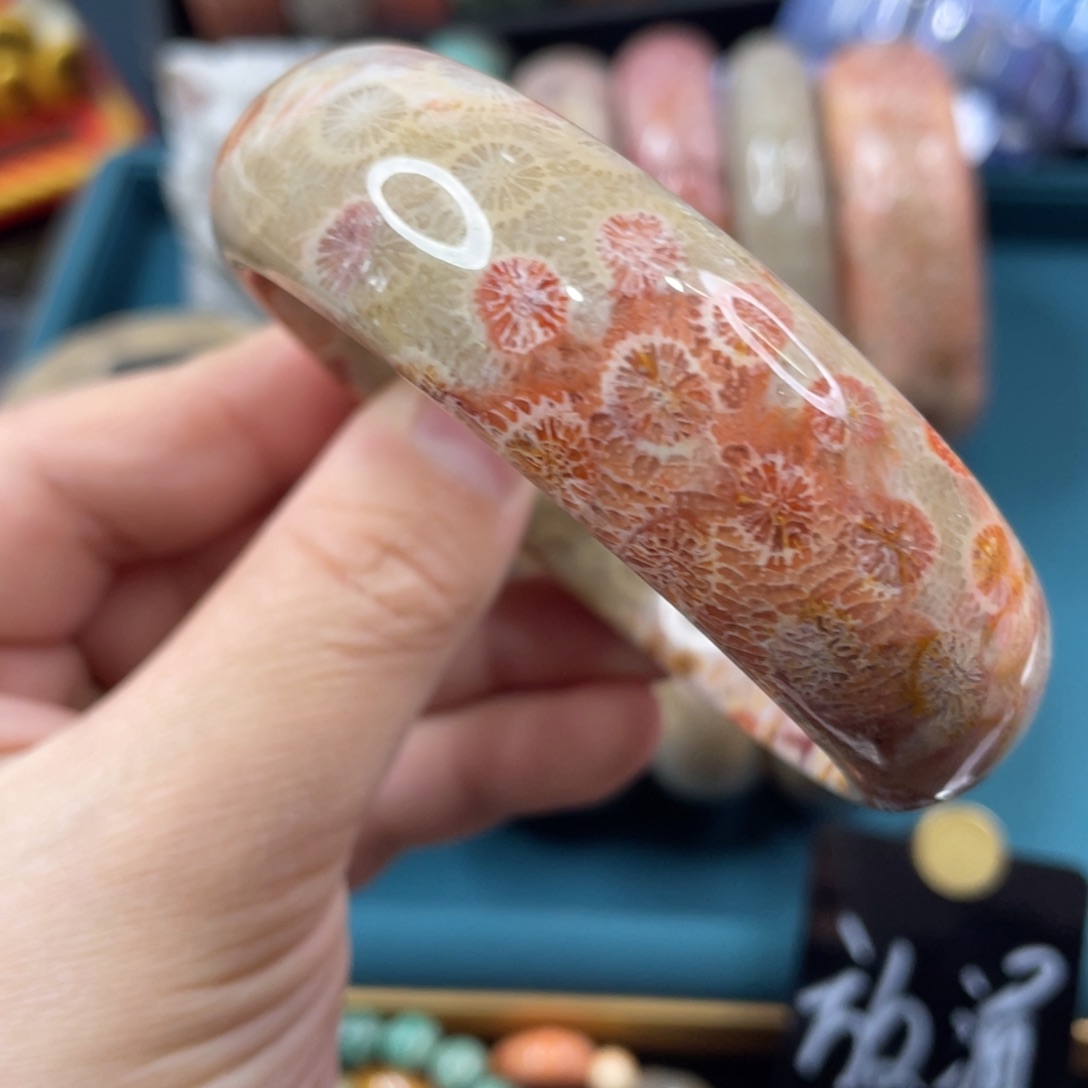 未镶嵌手镯硅化玉