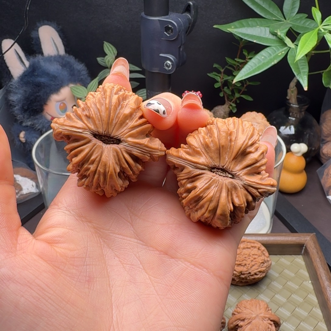 龙脊菩提把件四座楼（精修打底）45+