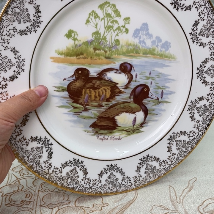 盘维多利亚欧洲中古