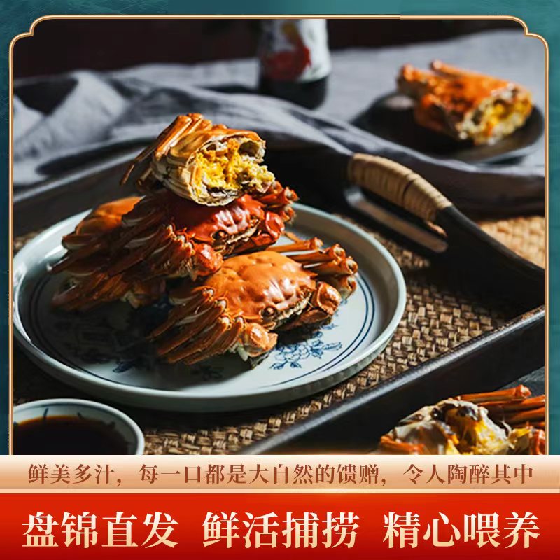 【活蟹】盘锦河蟹 （1.3-1.5两/只）母蟹 2斤  鲜活到家