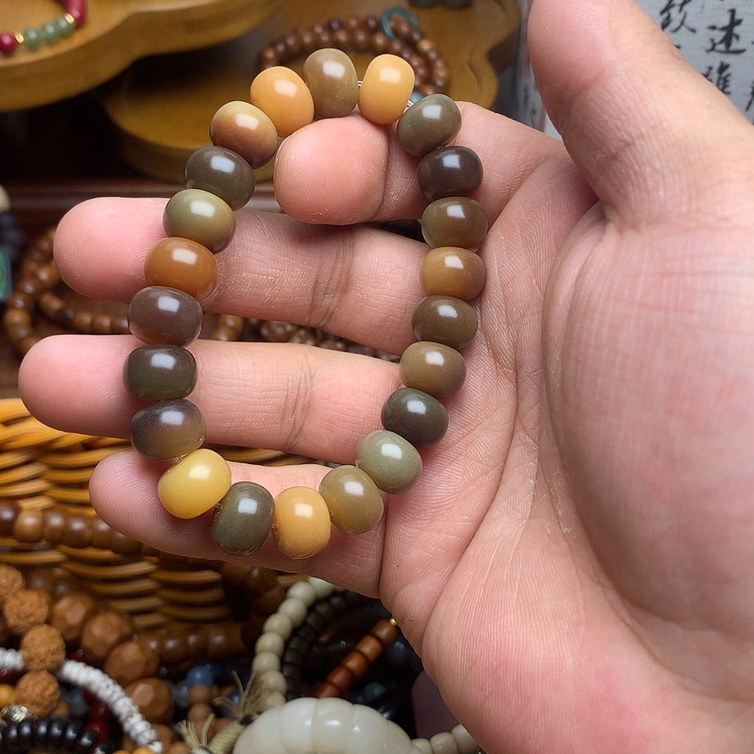 菩提根/象牙果手串