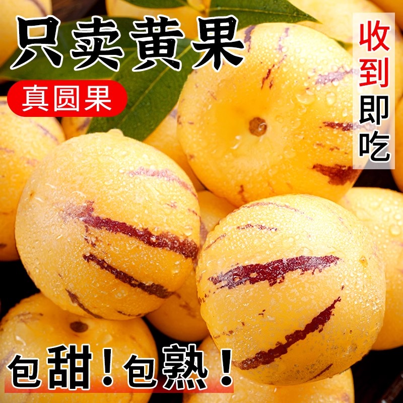人参果新鲜水果云南石林黄心圆果树上熟七彩人叁果应当季整箱包邮