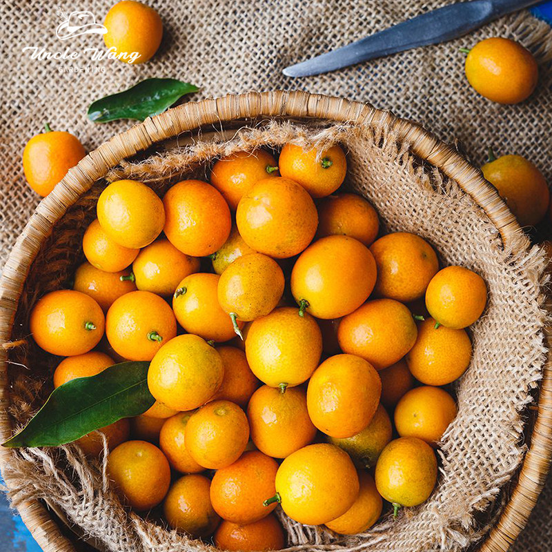 种花王大爷脆皮金桔裸根苗果树果苗庭院可地栽盆栽果苗