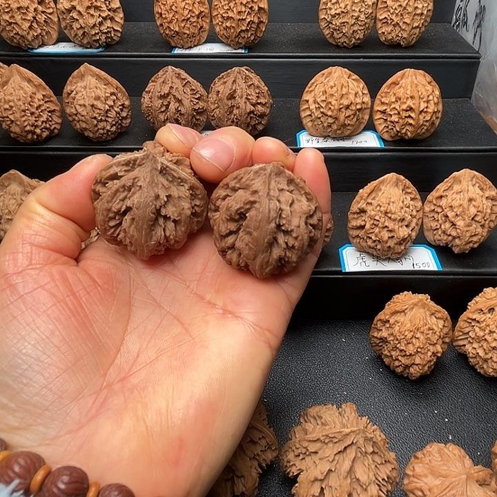 核桃秦岭野生灯笼