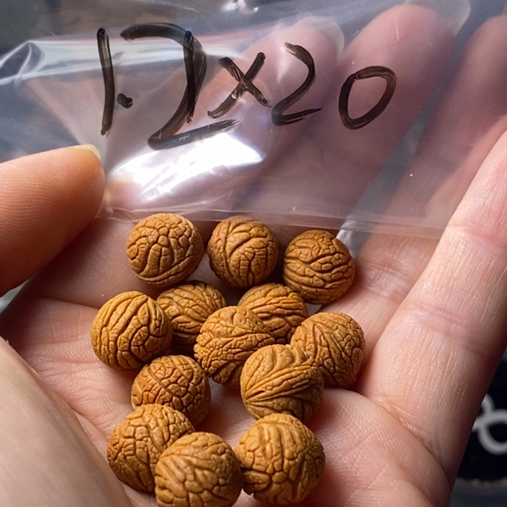 文玩核桃手串秦岭野生龙纹桃核12