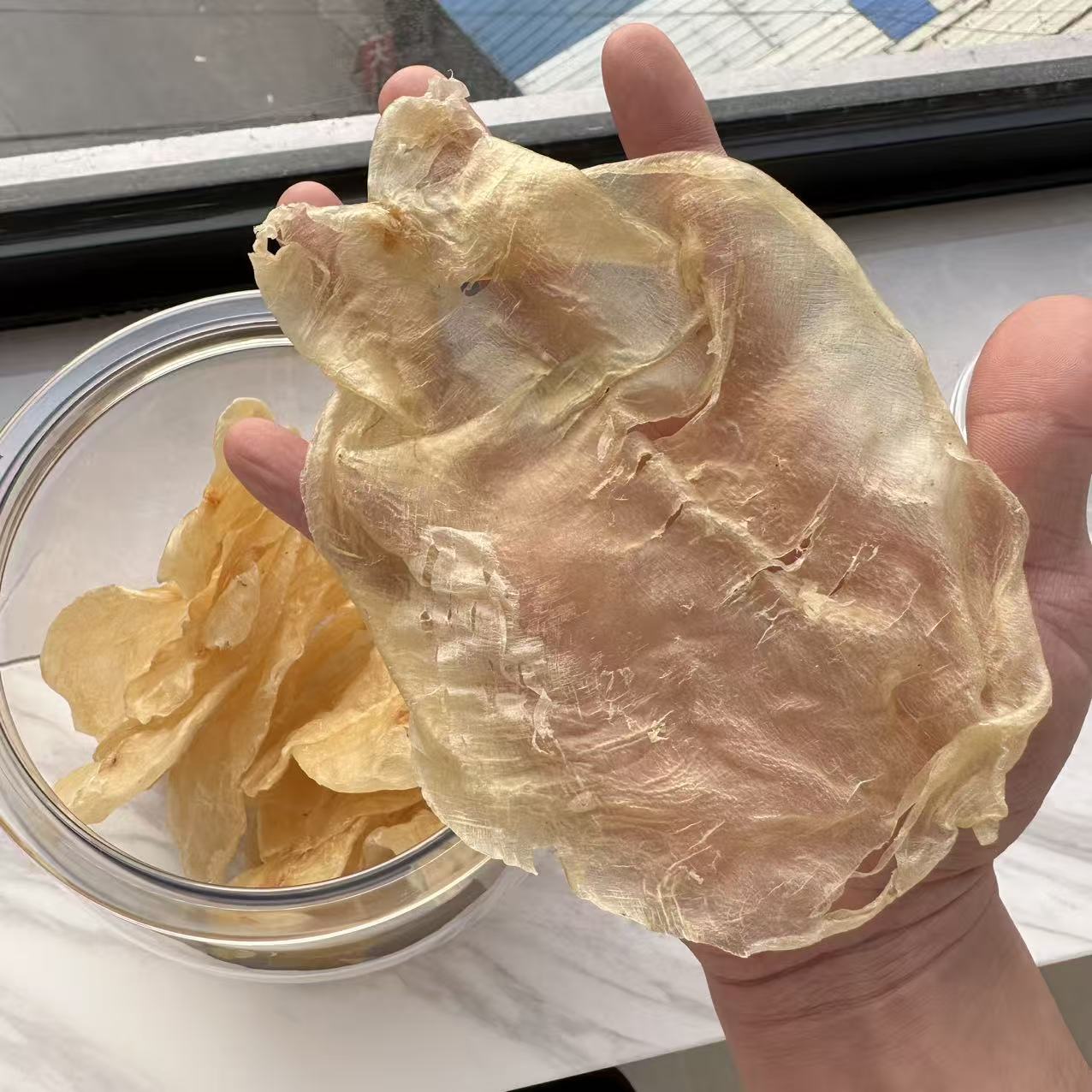 鱼胶 蜘蛛胶250g玉脂厚肉 纹理清晰