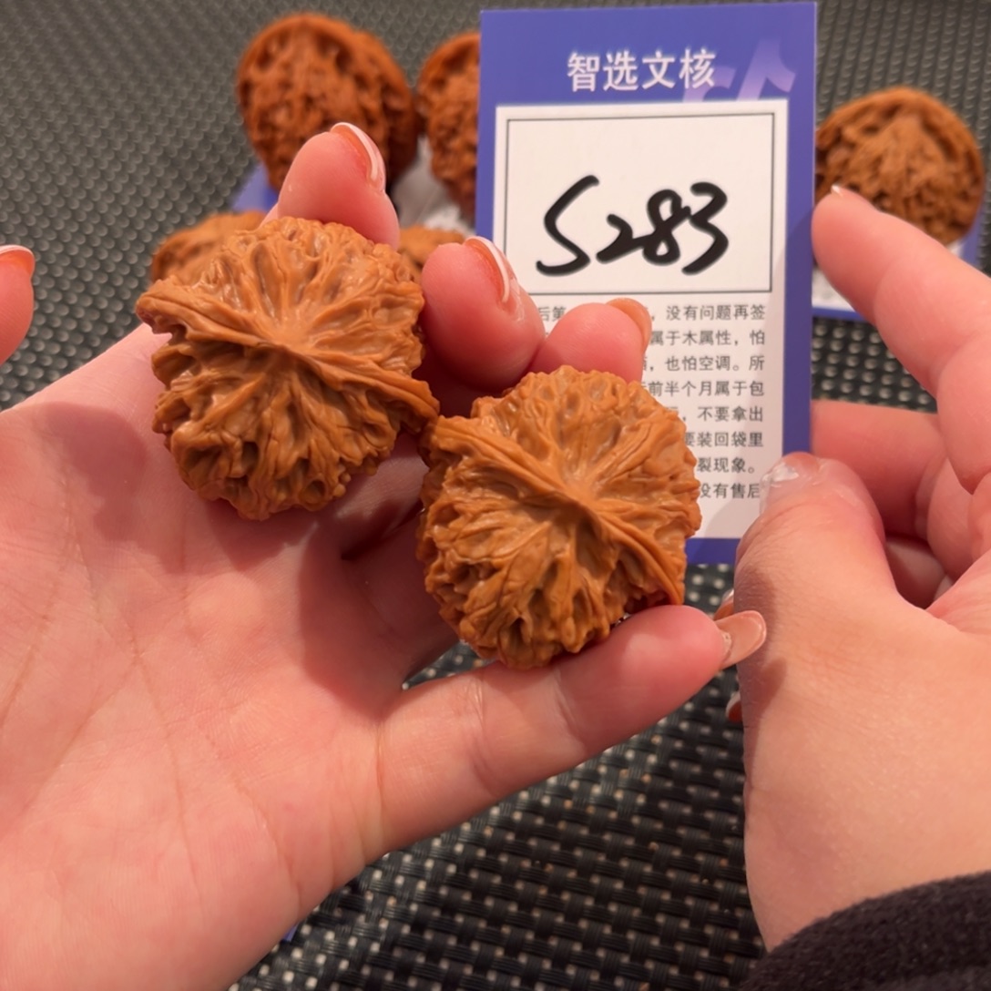 核桃S283号苹果园40尺
