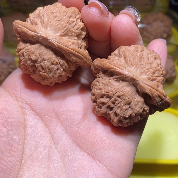 血麒麟42➕尺寸的血麒麟