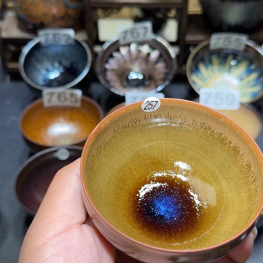 茶盏天才工程工程257
