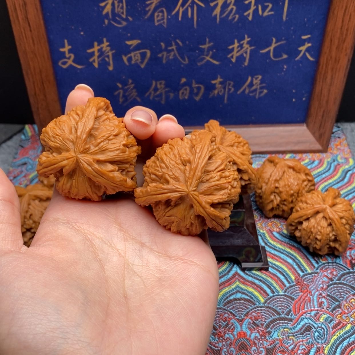【闪购商品】三*白狮