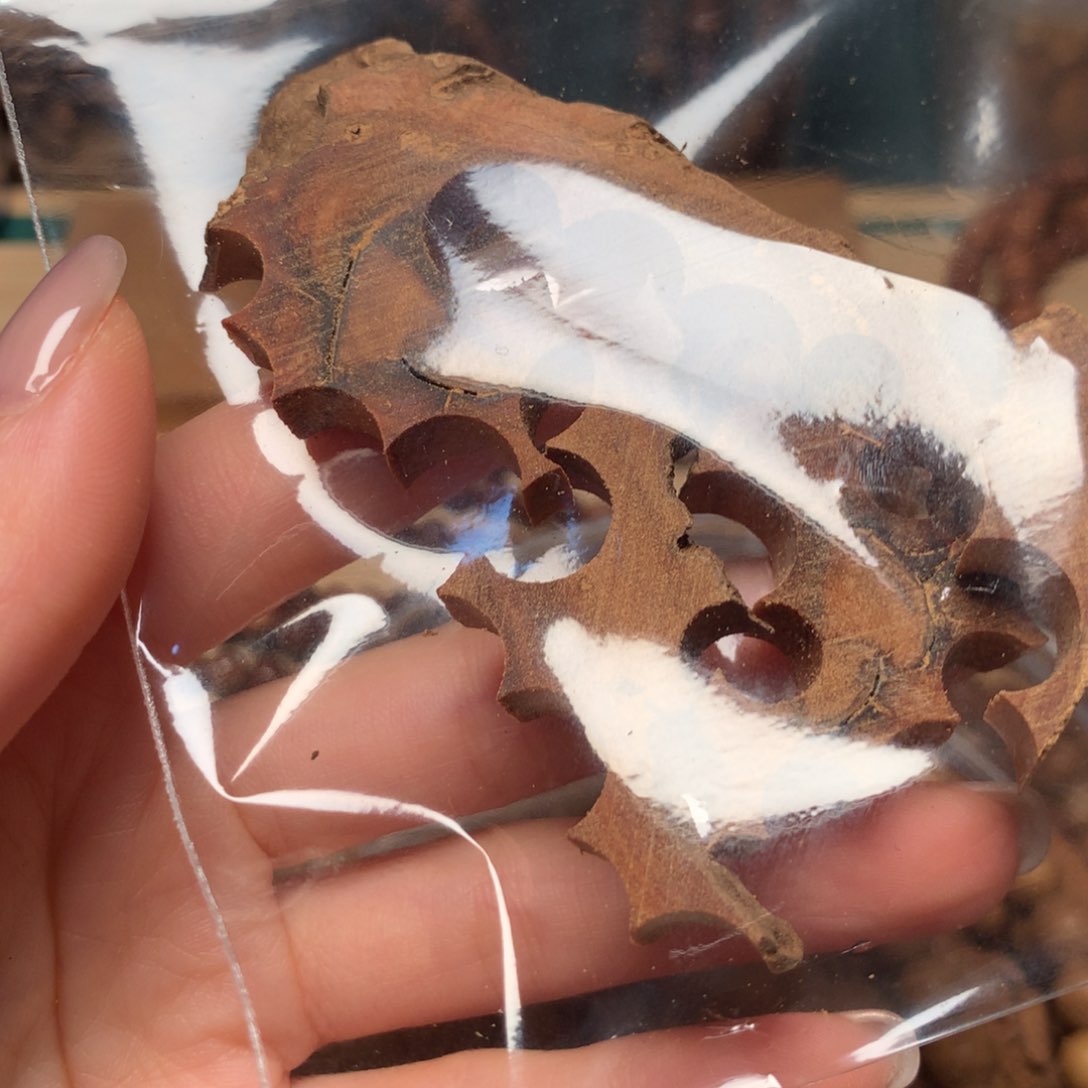 檀香木其他如***君迈索尔老山檀17g