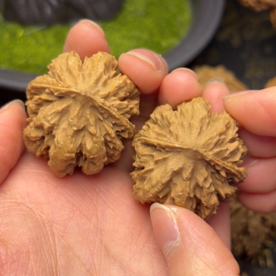 文玩核桃把件秦岭核桃26