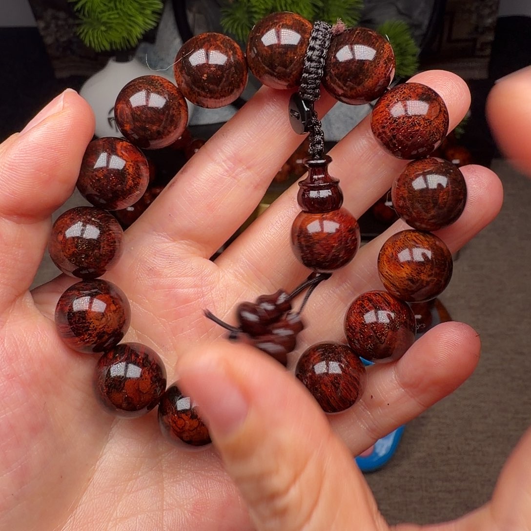 黄花梨/降香黄檀任