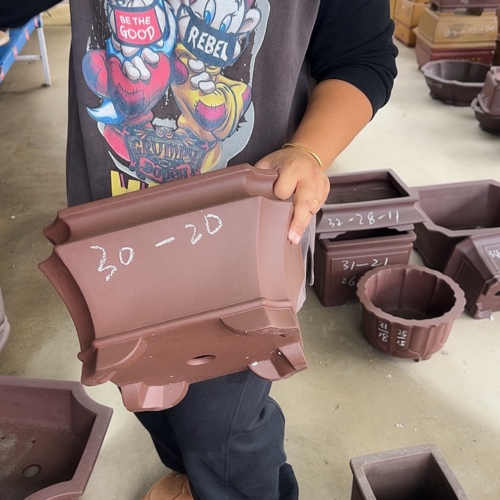 紫砂花盆你说是谁就让我们等