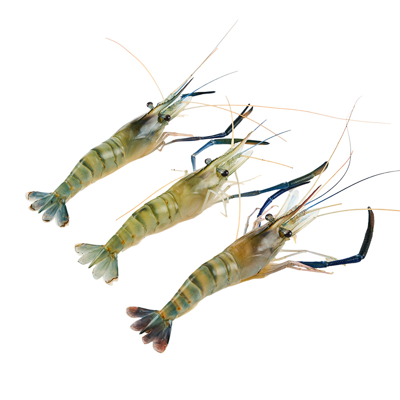 【鲜活充氧】罗氏沼虾(大头虾)350g/份(约18-28只)