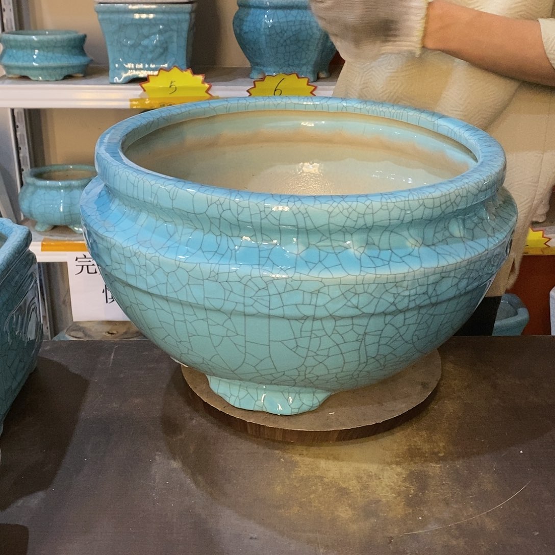 太****香花盆花盆里的花都开