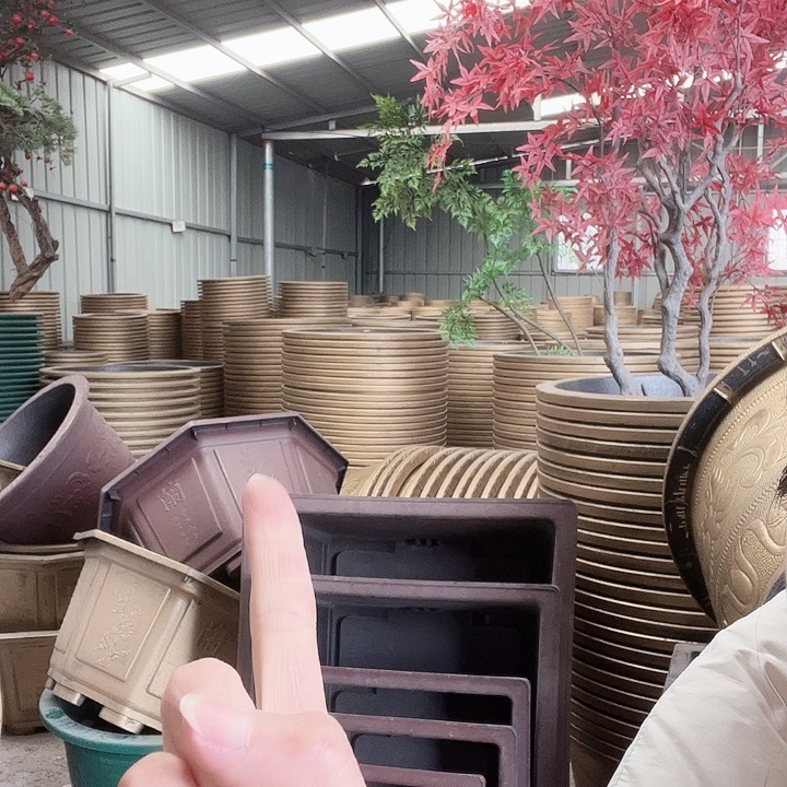 阳***-紫色八角80花盆2个200元包邮