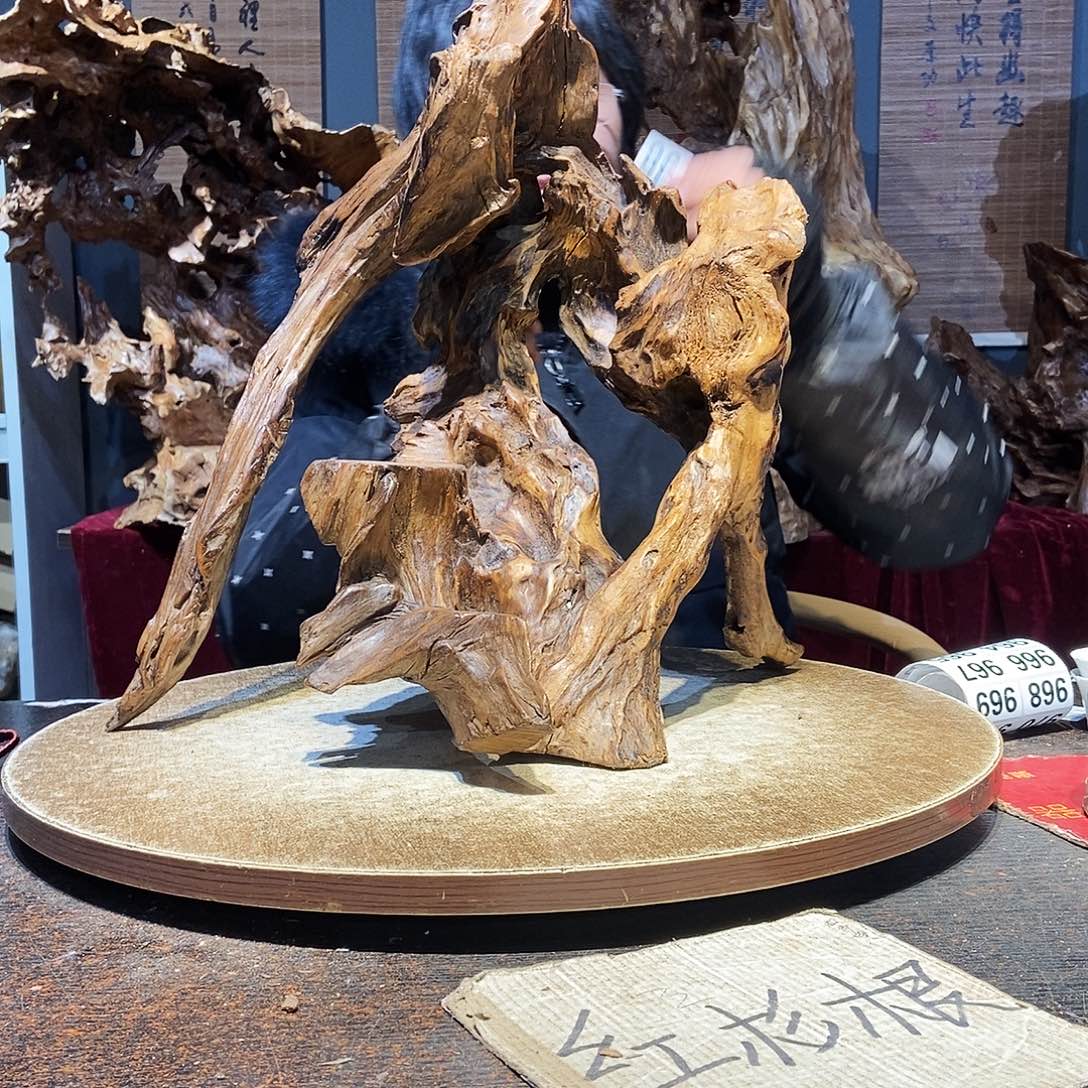 啵***虎961。株木随行根艺