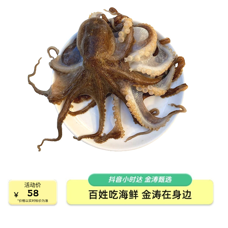 【金涛海鲜】鲜活八爪鱼 1斤58 同城跑腿发货 鲜活到家