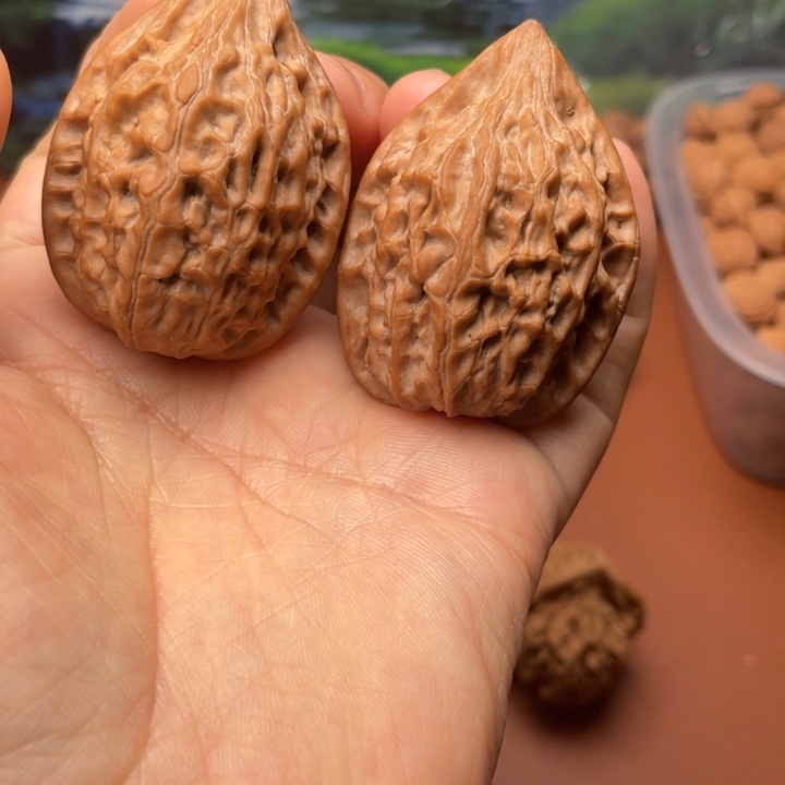 い***ジ核桃秦核等地的一些企业也纷纷