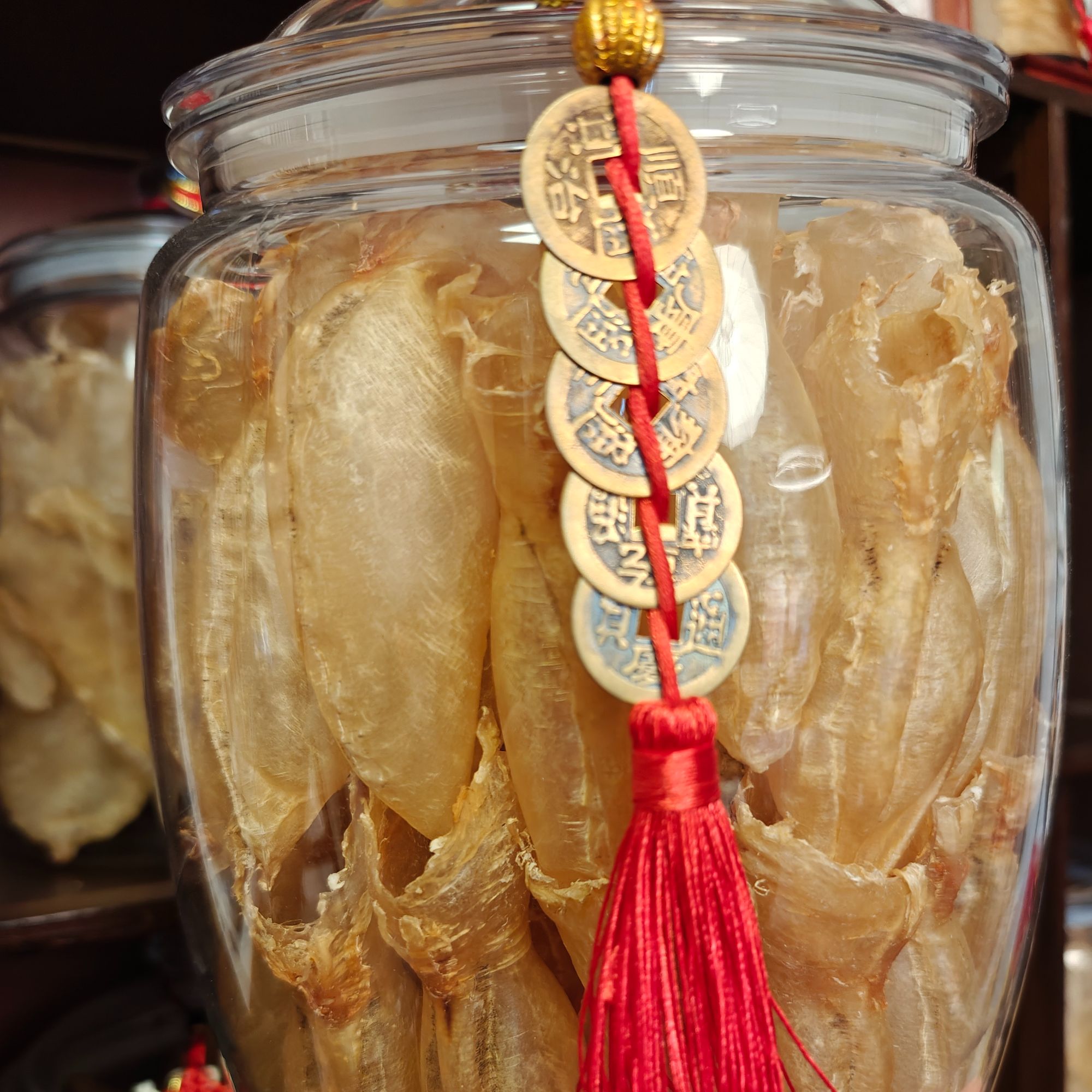 蜘蛛~花胶【臻礼-迩】