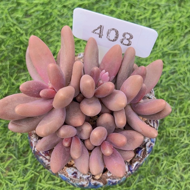 健健康康平平安安