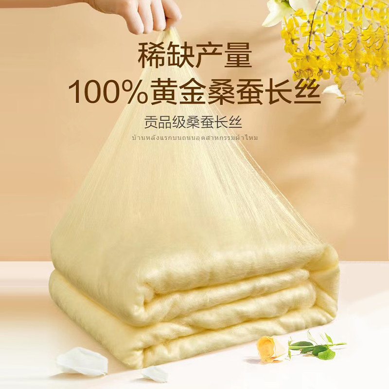 【钱皇】奢润 高端轻奢黄金丝被四季通用蚕丝被冬被
