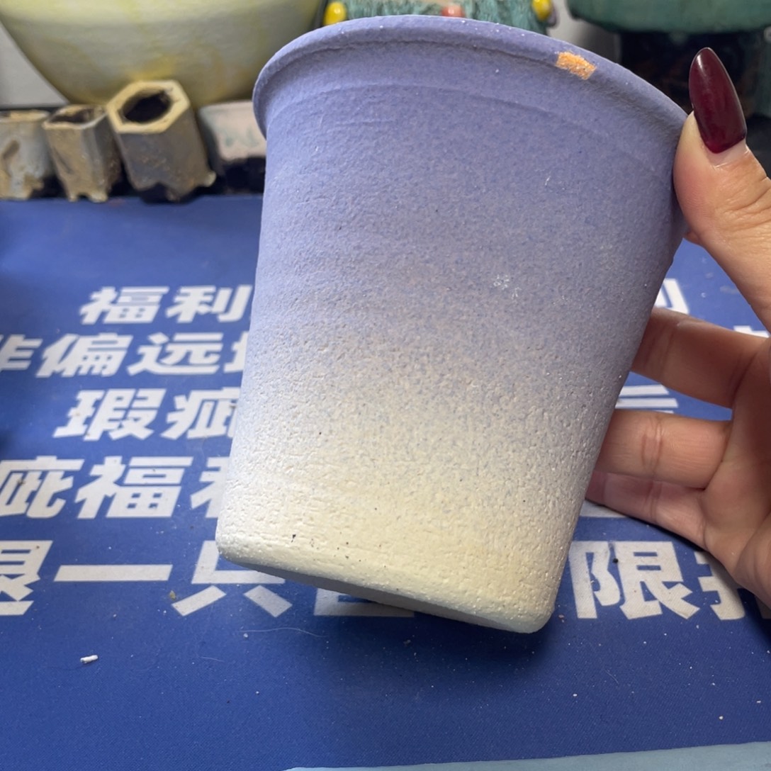 特价微瑕疵不退不换哦250
