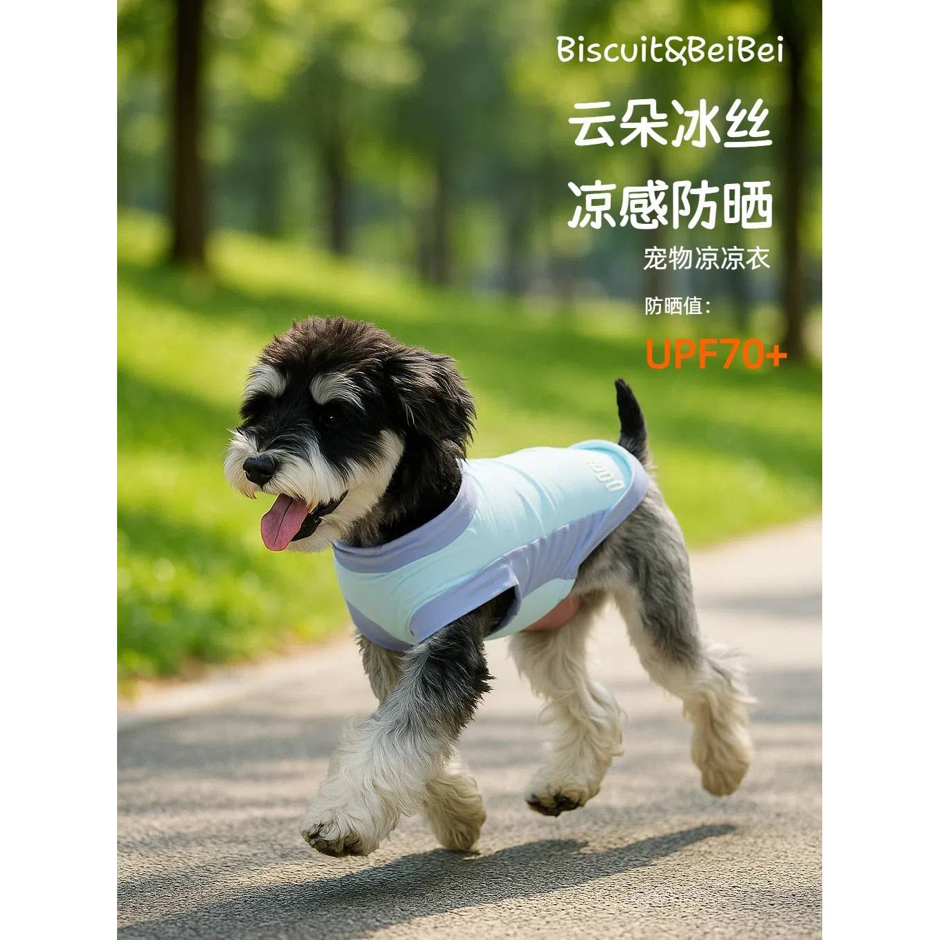 宠物凉凉衣狗狗衣服穿搭萌宠夏天衣服背心柯基雪纳瑞比熊泰迪猫咪