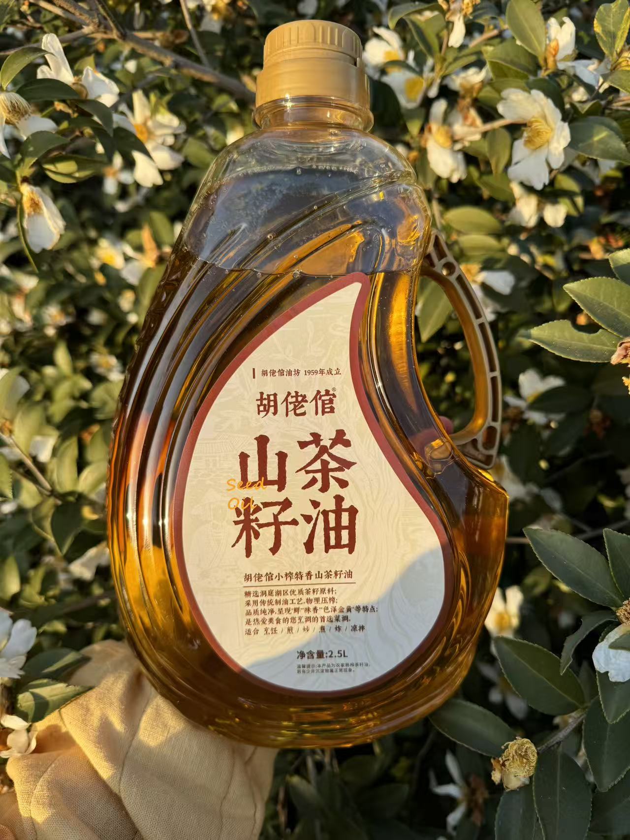 【大好专属】湖南本地农家自榨土山茶油2.5L装4.6斤-精选老树山茶籽