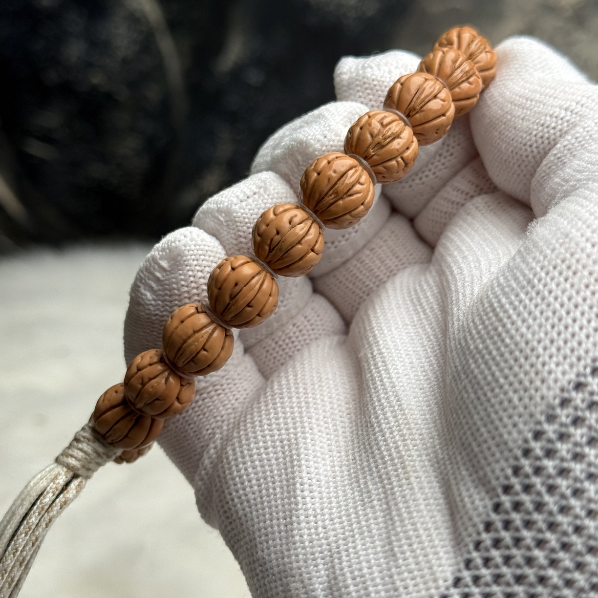 东北野生小籽，宽脐荒野爆肉，野生核里的天花板宽脐大肠纹同在