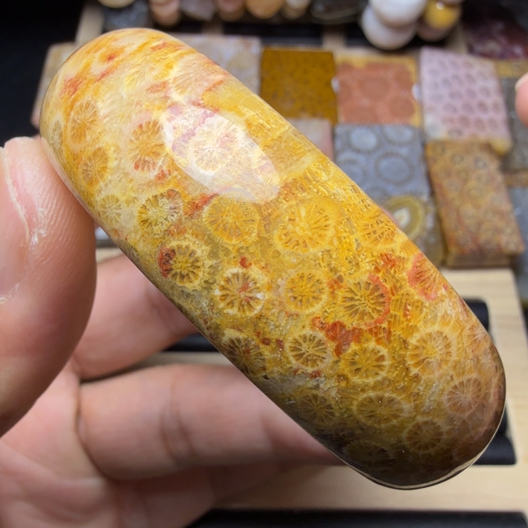 硅化玉未镶嵌纯天然色有机玉石保真色54.5圈口