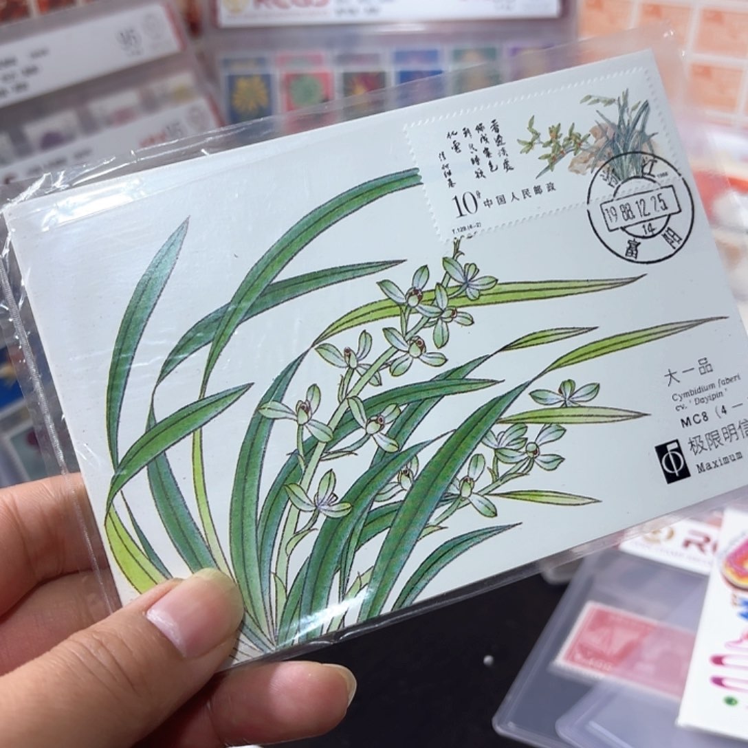 T129套票极限片一套