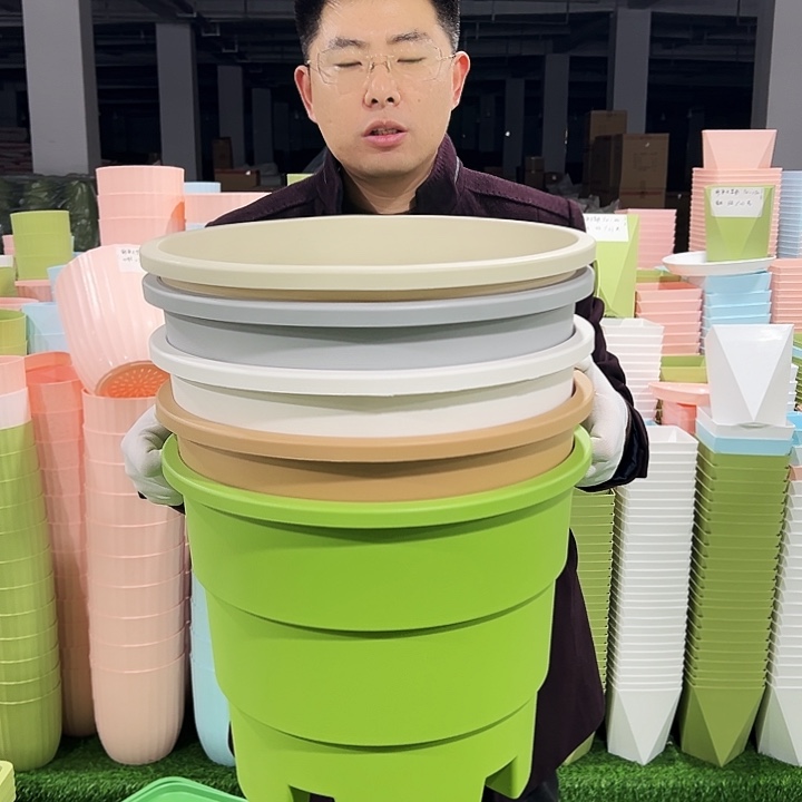 正品蓝莓盆口39高33白色3只无托