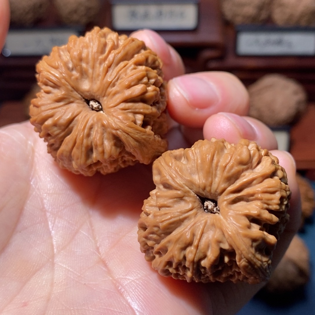 文玩核桃把件南疆石凹底全品38