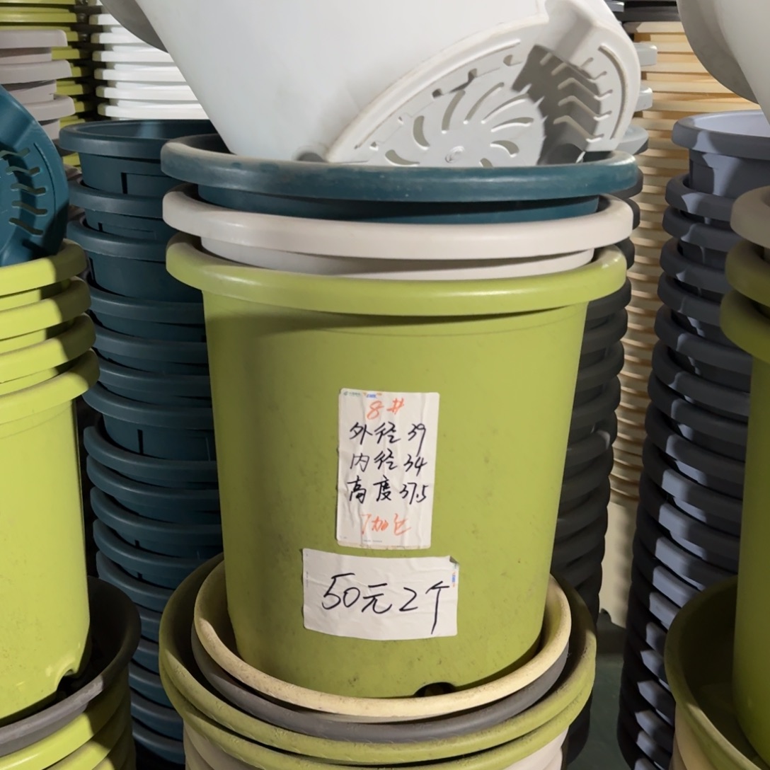 四季8#口径39无拖雾霾蓝5个