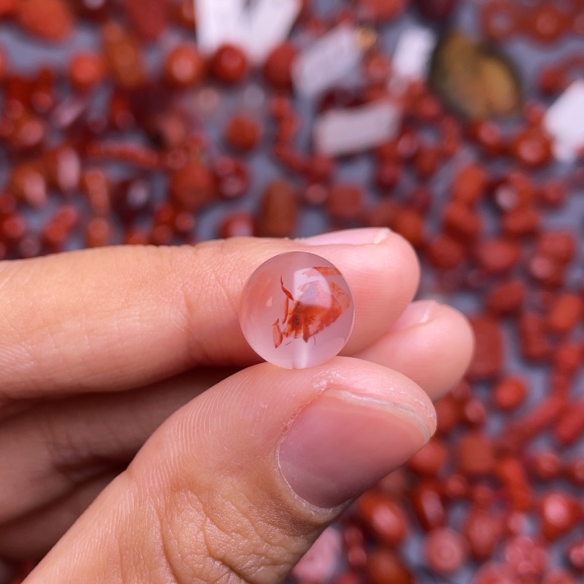 【闪购商品】南红玛瑙未镶嵌川料瓦西冰飘10.8