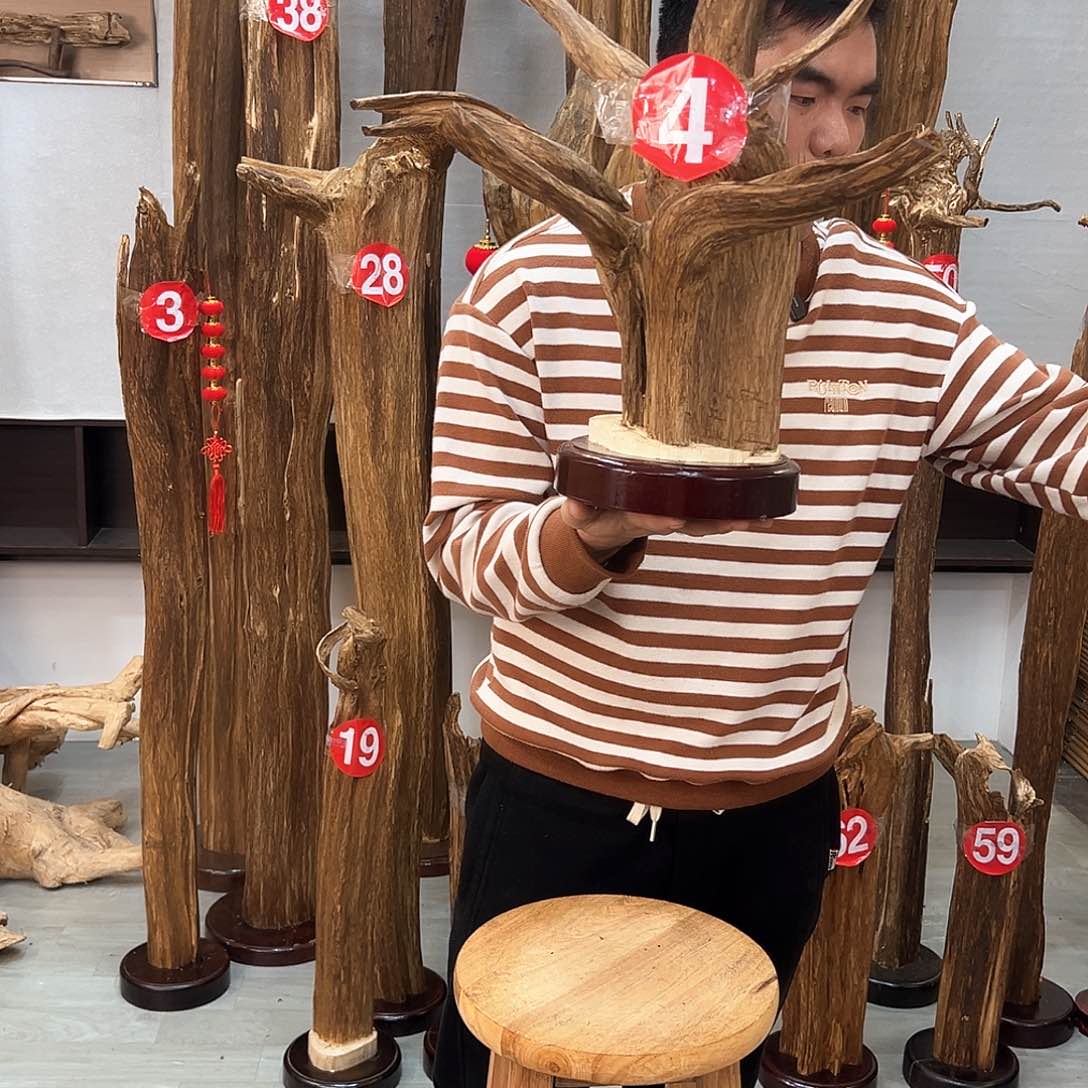 沉香摆件用****5沉香摆件