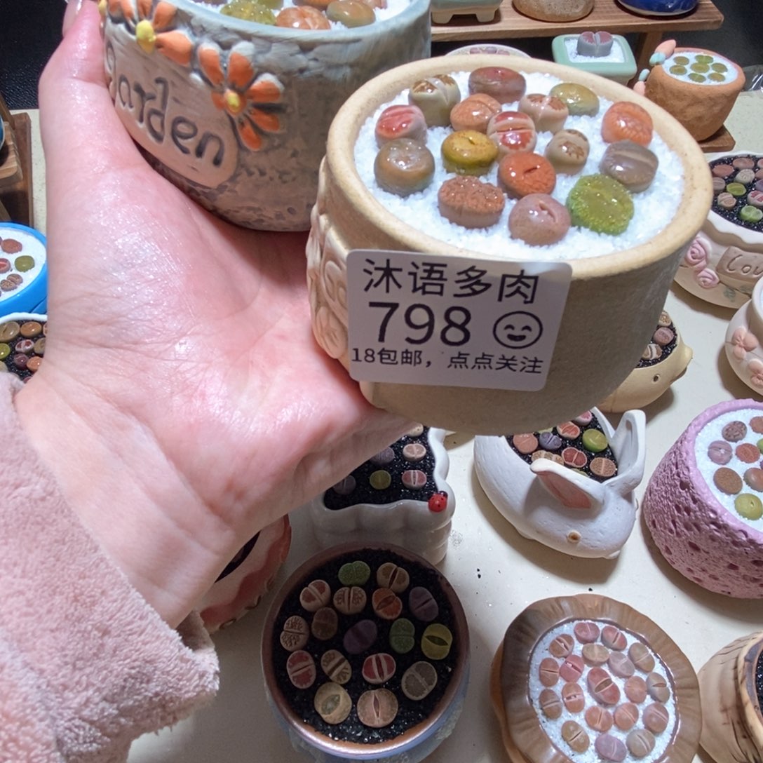 所见即所得 一物一拍798