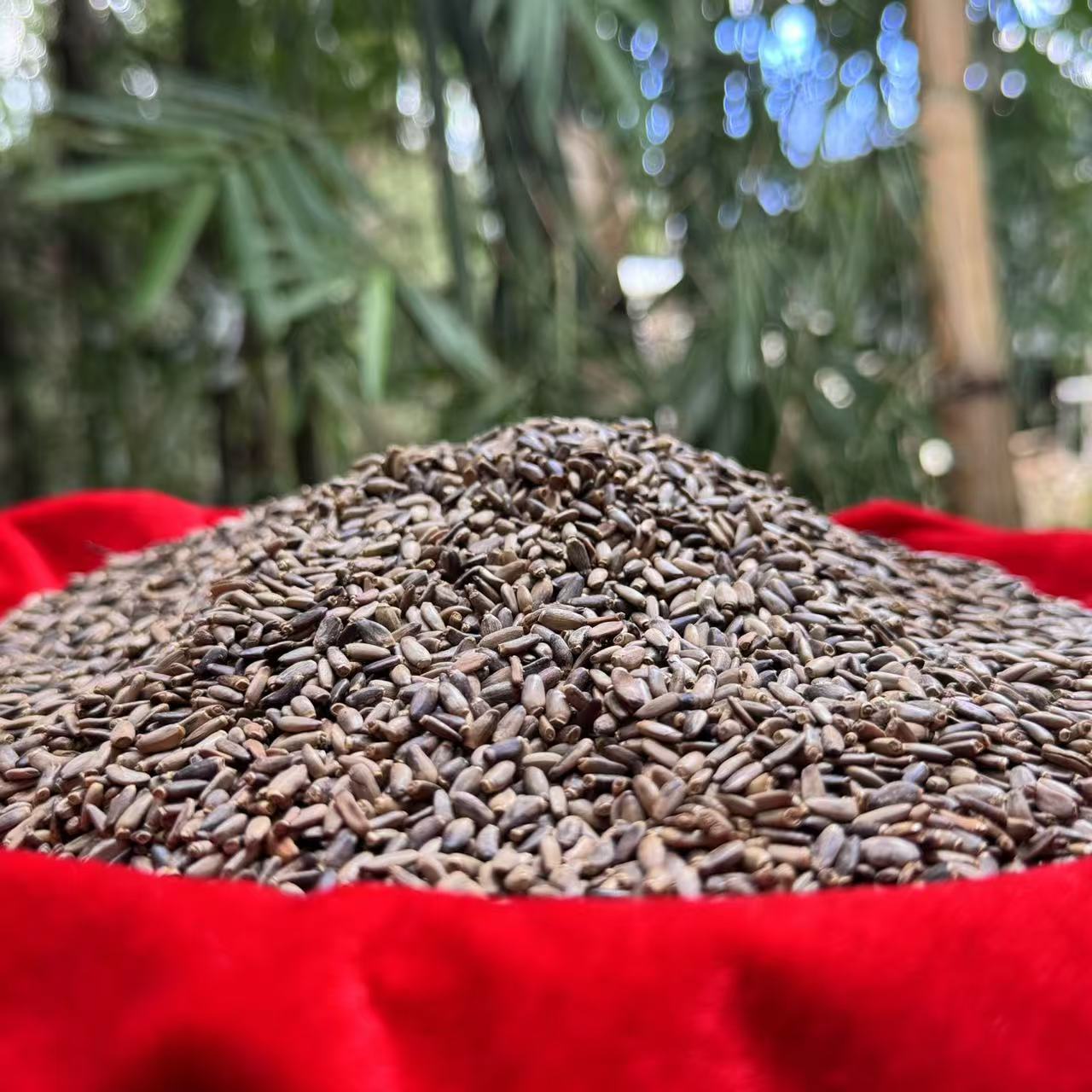 A【水-飞-蓟】净含量250g-500g【万万现收】