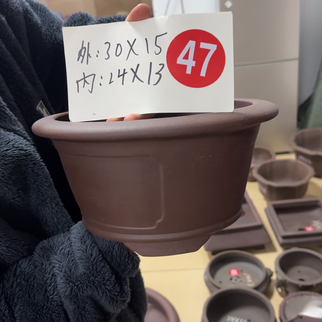 紫砂花盆呜呜呜呜