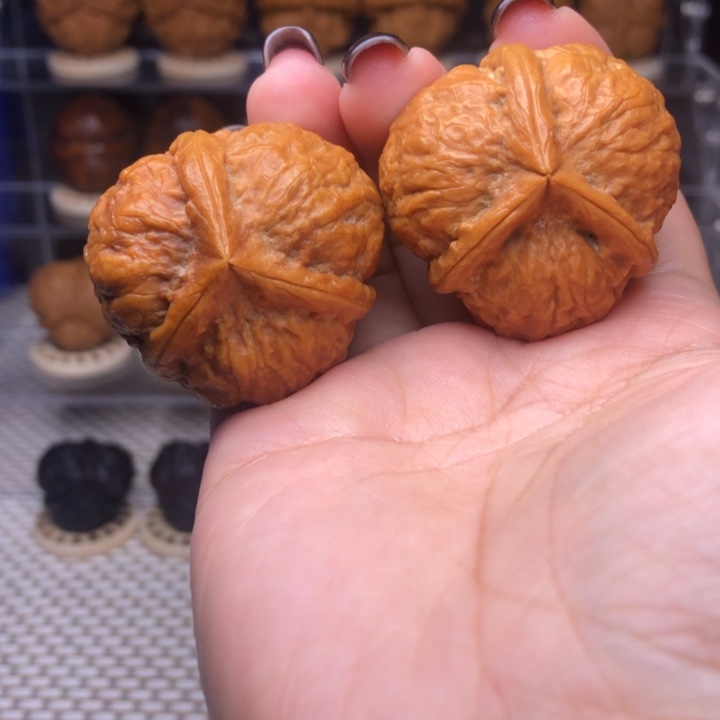 文玩核桃把件23号粗筋三棱37➕尺