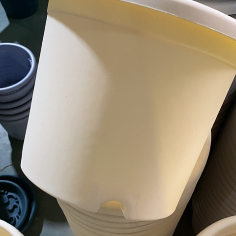 树脂四季3#无托米黄10个