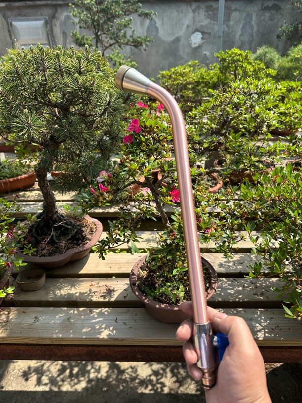 京善改进1260目园艺花洒喷头不锈钢网片浇花内过滤