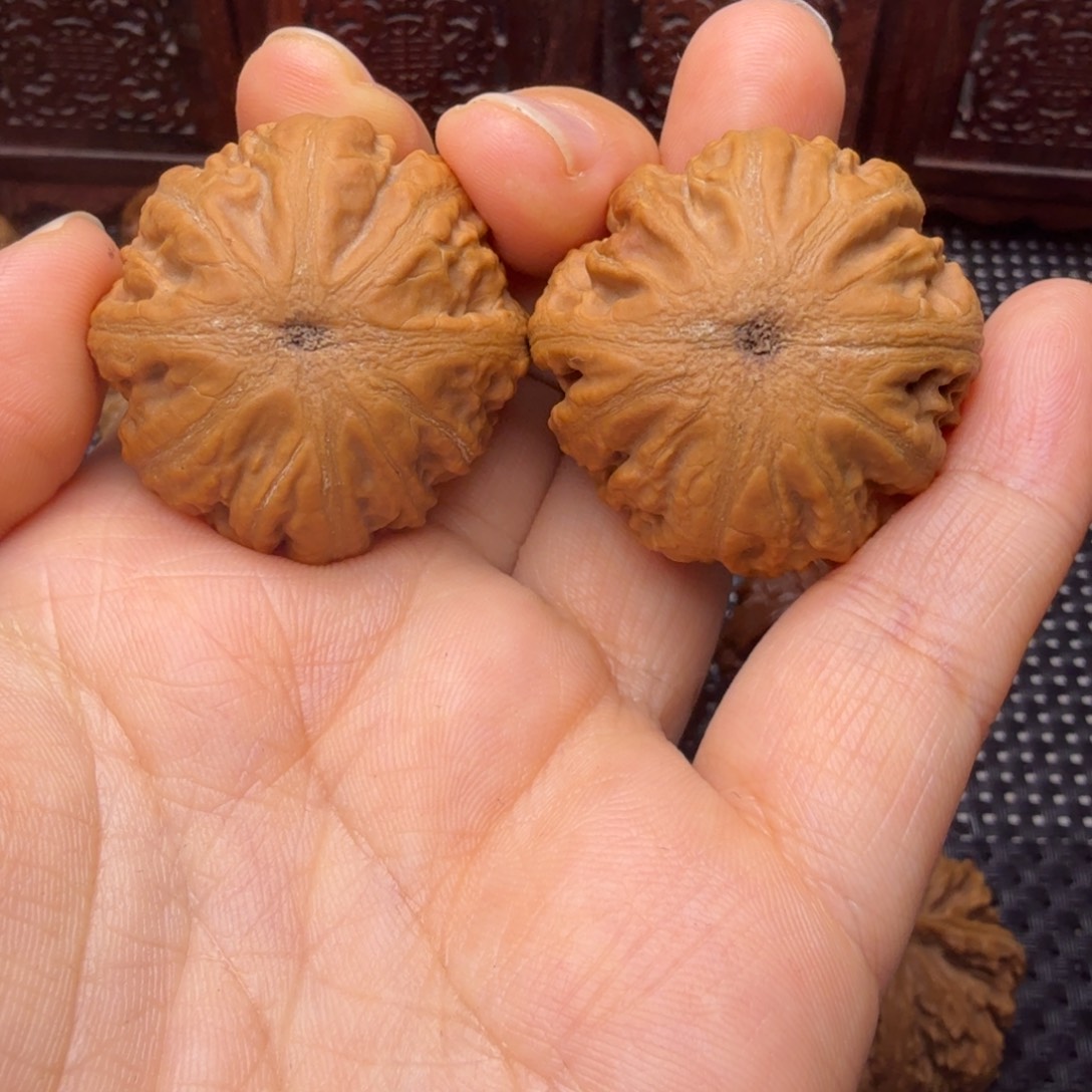 文玩核桃把件野生元宝13