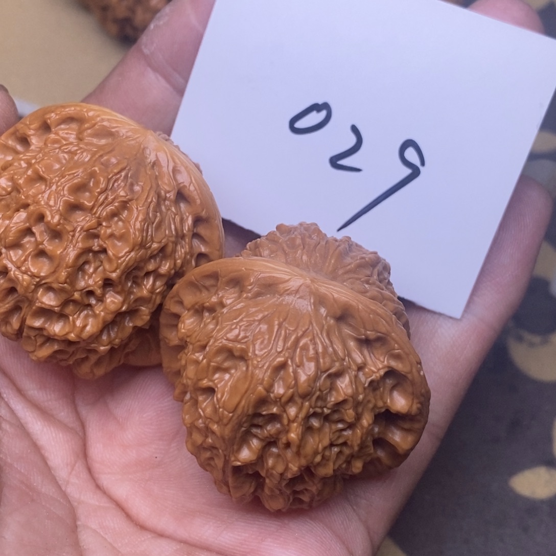 核桃血麒麟尺寸41