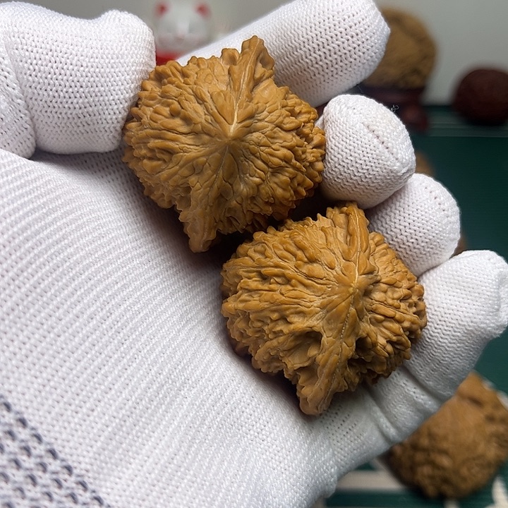 42+全品无修满天星